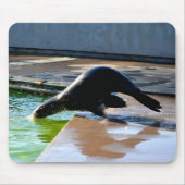 Kalifornischer Seelöwe Mousepad (Vorne)