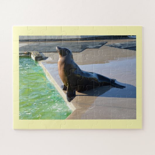 Kalifornischer Seelöwe Puzzle (Horizontal)