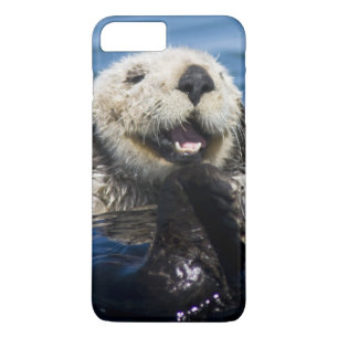Kalifornischer Seeotter (Enhydra lutris) putzt sic iPhone 8 Plus/7 Plus Hülle