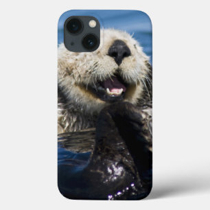 Kalifornischer Seeotter Enhydra lutris) putzt sich Case-Mate iPhone Hülle