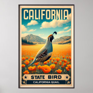 Kalifornischer Staatsvogel - Kalifornische Wachtel Poster