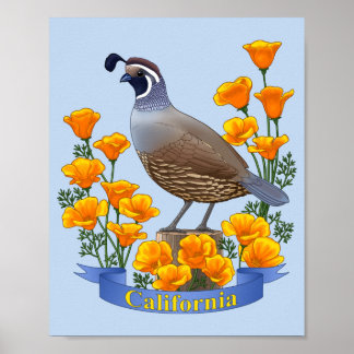 Kalifornischer Staatsvogel Wachtel & Goldmohn Poster