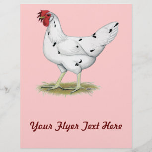 Kalifornisches Weißes Huhn Flyer