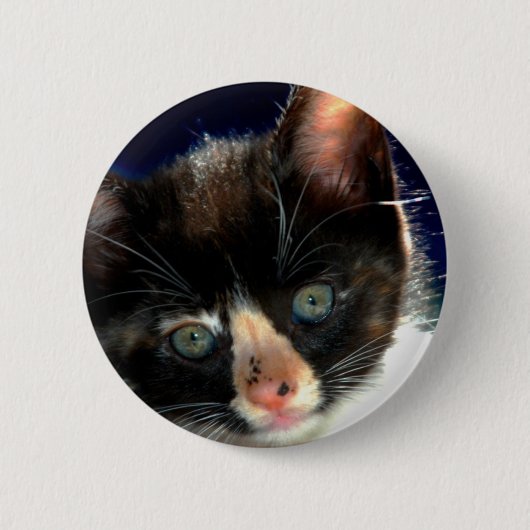 Kaliko-Kätzchen-Knopf Button (Vorderseite)