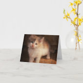 Kaliko-Kätzchen Notecard Karte (Gelbe Blume)