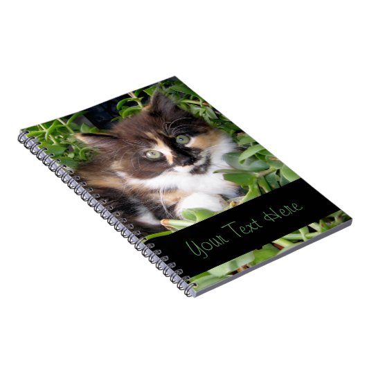 Kaliko-Kätzchen-Notizbuch Notizblock (Rechte Seite)