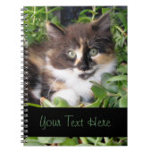 Kaliko-Kätzchen-Notizbuch Notizblock (Vorderseite)