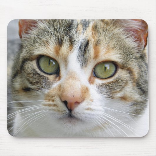 Kaliko-Katze Mousepad (Vorne)