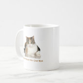 Kaliko-Katze: Stören Sie mich auf eigene Gefahr Kaffeetasse (Vorderseite Links)