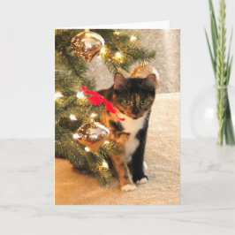 Kaliko-Katze unter dem Weihnachtsbaum, leeres Feiertagskarte