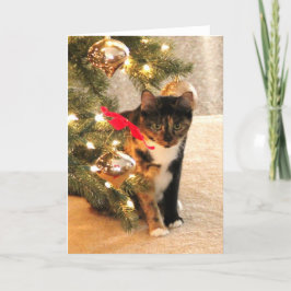Kaliko-Katze unter dem Weihnachtsbaum, leeres Feiertagskarte