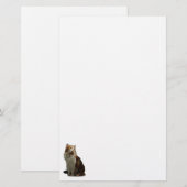 Kaliko-Katzen-Fraktal Briefpapier (Vorne/Hinten)
