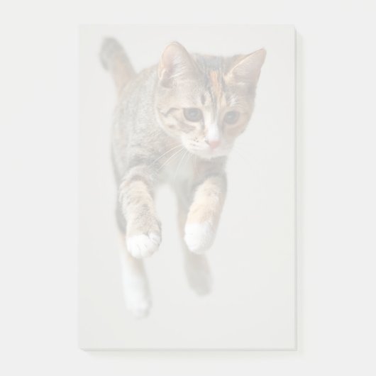 Kaliko-Katzen-Springen Post-it Klebezettel (Vorderseite)