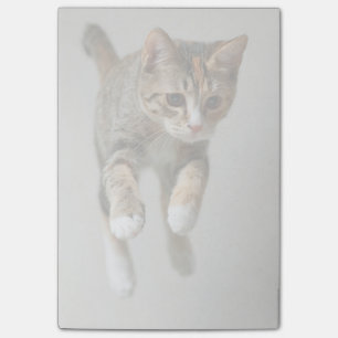 Kaliko-Katzen-Springen Post-it Klebezettel