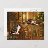 Kaliko-Miezekatze Weihnachten (Vorne/Hinten)