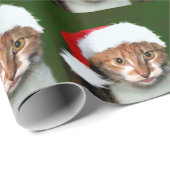 Kaliko-Miezekatze WeihnachtsHumbug Geschenkpapier (Rolleneckpunkt)