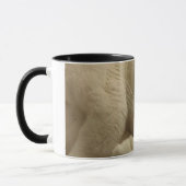 Kaliko schwelen tasse (Links)
