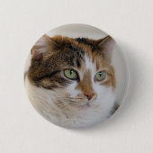 Kaliko Tabbykatzengesicht Button (Vorderseite)