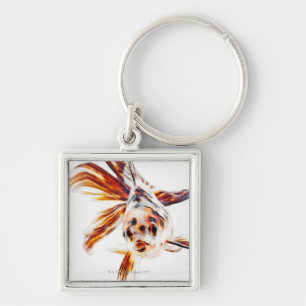 Kalikofantail-Kometen-Goldfisch (Carassius Schlüsselanhänger