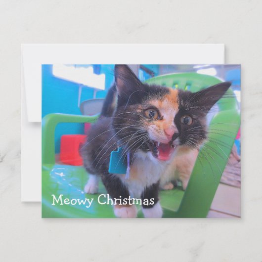 Kalikokätzchen Meowy Dankeskarte (Vorderseite)