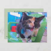 Kalikokätzchen Meowy Dankeskarte (Vorne/Hinten)