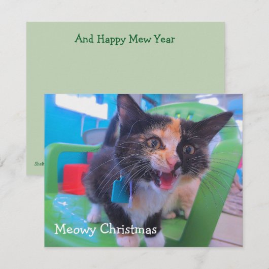 Kalikokätzchen Meowy Dankeskarte (Vorne/Hinten)