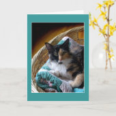 Kalikokatze in einer Korbgruß- oder Karte (Gelbe Blume)