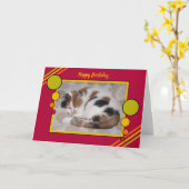 Kalikokatze kräuselte oben rotes Grün des Karte (Gelbe Blume)