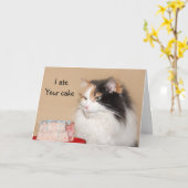 Kalikokatzengeburtstag Karte (Gelbe Blume)