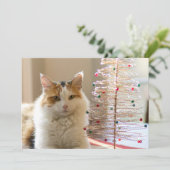 Kalikomantel, der durch ihren Miniweihnachtsbaum Feiertagskarte (Stehend Vorderseite)