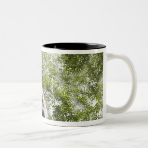 kalispell, Montana, USA Zweifarbige Tasse