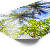 Kalk in Florida Fotodruck (Ecke)