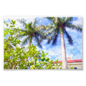 Kalk in Florida Fotodruck (Vorne)