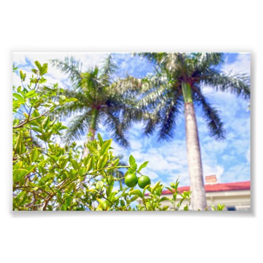 Kalk in Florida Fotodruck (Vorne)