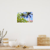 Kalk in Florida Poster (Küche)