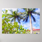 Kalk in Florida Poster (Vorne)