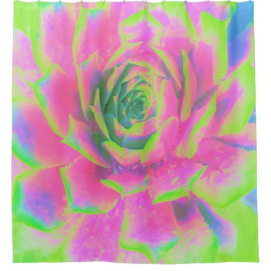 Kalkgrün und rosa Sukkulent Sedum Rosette Duschvorhang (Vorderseite)