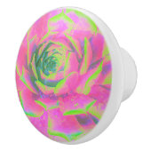 Kalkgrün und rosa Sukkulent Sedum Rosette Keramikknauf (Rechts)