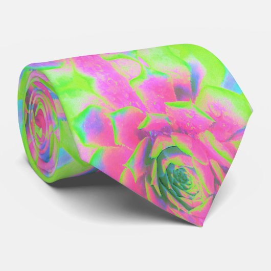 Kalkgrün und rosa Sukkulent Sedum Rosette Krawatte (Gerollt)