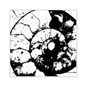 Kalkstein-Ammoniak-Fossil Gummistempel (Prägung)