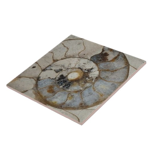 Kalkstein-Ammoniak groß Fliese (Seite)