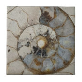 Kalksteinammonit Fliese (Vorderseite)