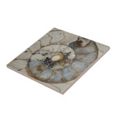 Kalksteinammonit Fliese (Seite)