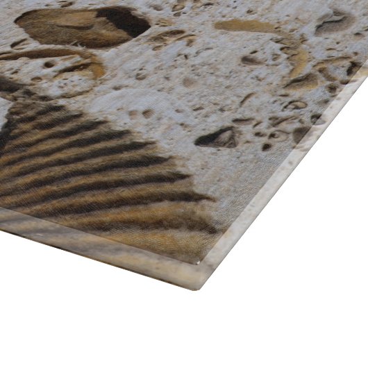 Kalksteinfossilien Schneidebrett (Ecke)