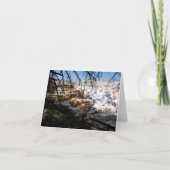 Kalksteinterrasse Mammov Hot Spring Yellowstone (Vorderseite)