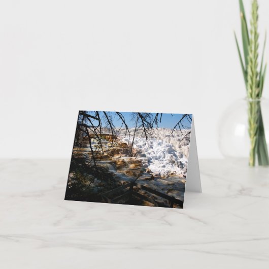 Kalksteinterrasse Mammov Hot Spring Yellowstone (Vorderseite)