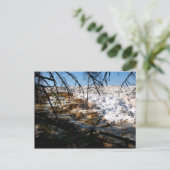 Kalksteinterrasse Mammov Hot Spring Yellowstone Postkarte (Stehend Vorderseite)