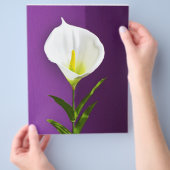 Kalla-Lilien-Blüte Flyer (Hand)