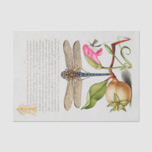 Kalligraphie (Dragonfly, Carnation & Birne) Seidenpapier