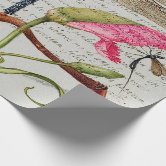 Kalligraphie (Dragonfly, Nelke & Birne) Geschenkpapier (Ecke)